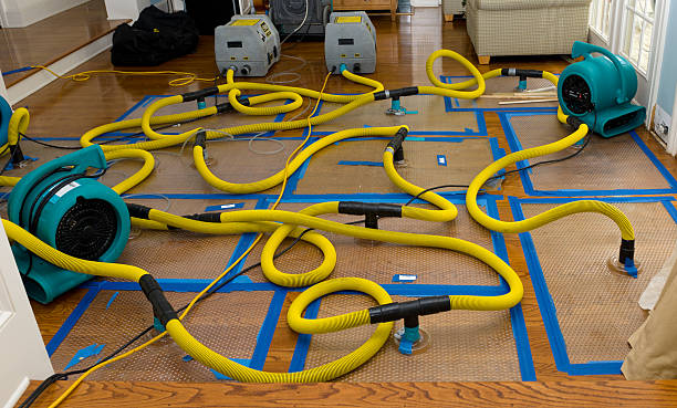 Professional Water Damage Restoration technician working in Newtown, OH